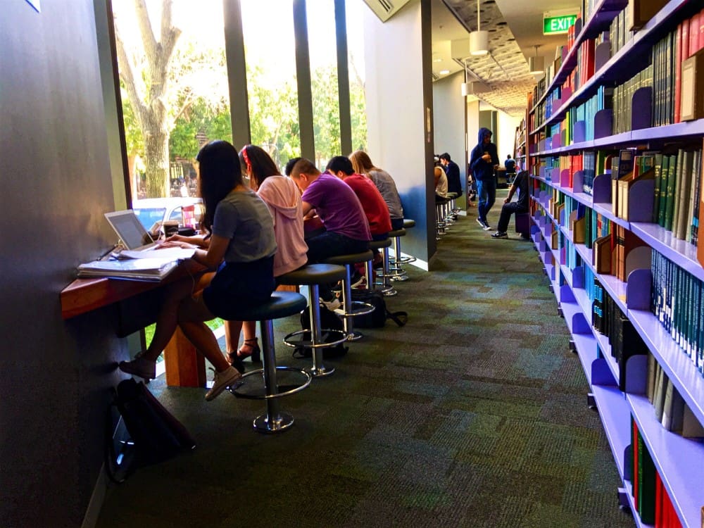 students-sitting-by-the-library-windows-studying-in-the-natural-sunlight-using-laptops-one-student-in_t20_AlaVaV
